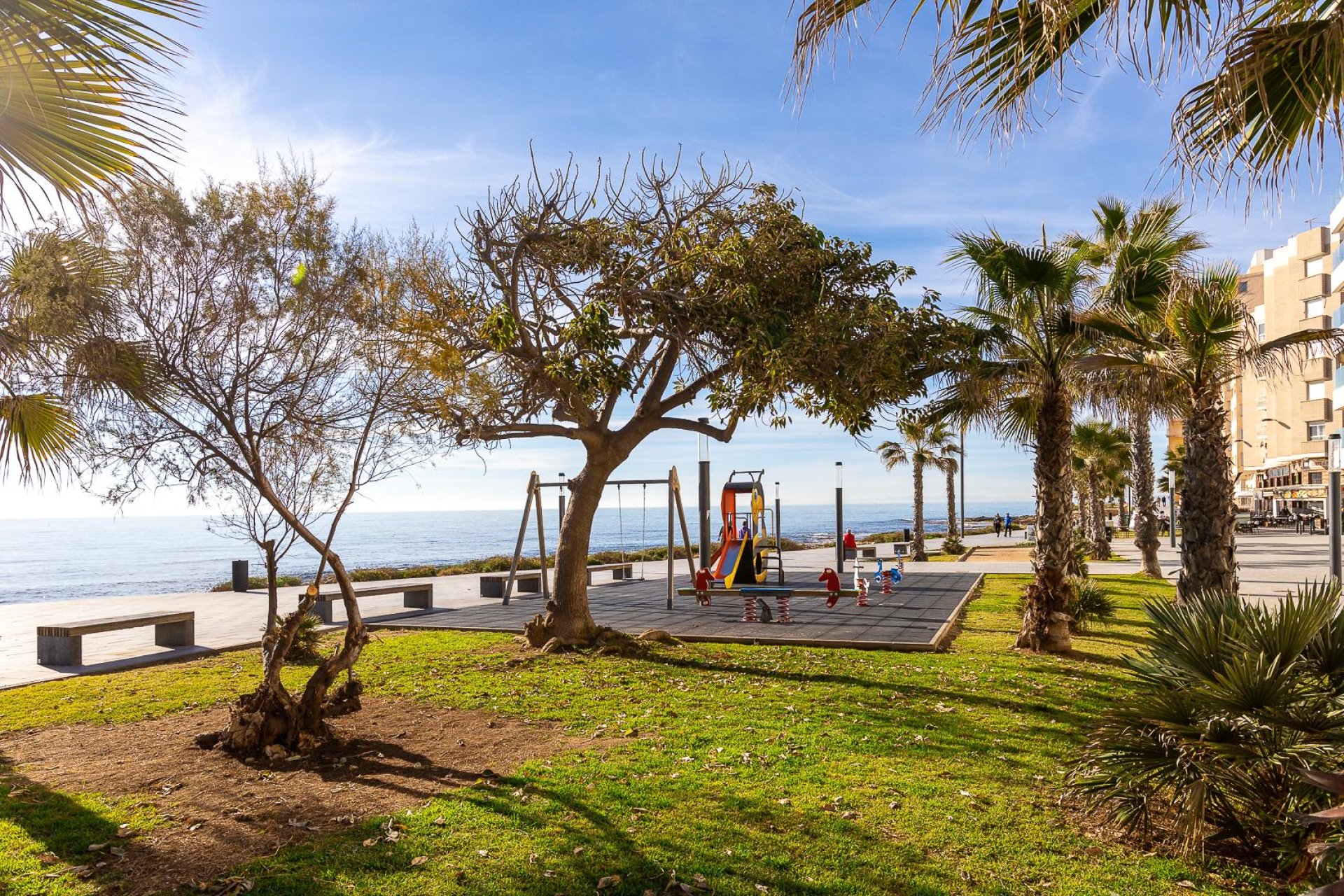 Revente - Apartment -
Torrevieja - Costa Blanca