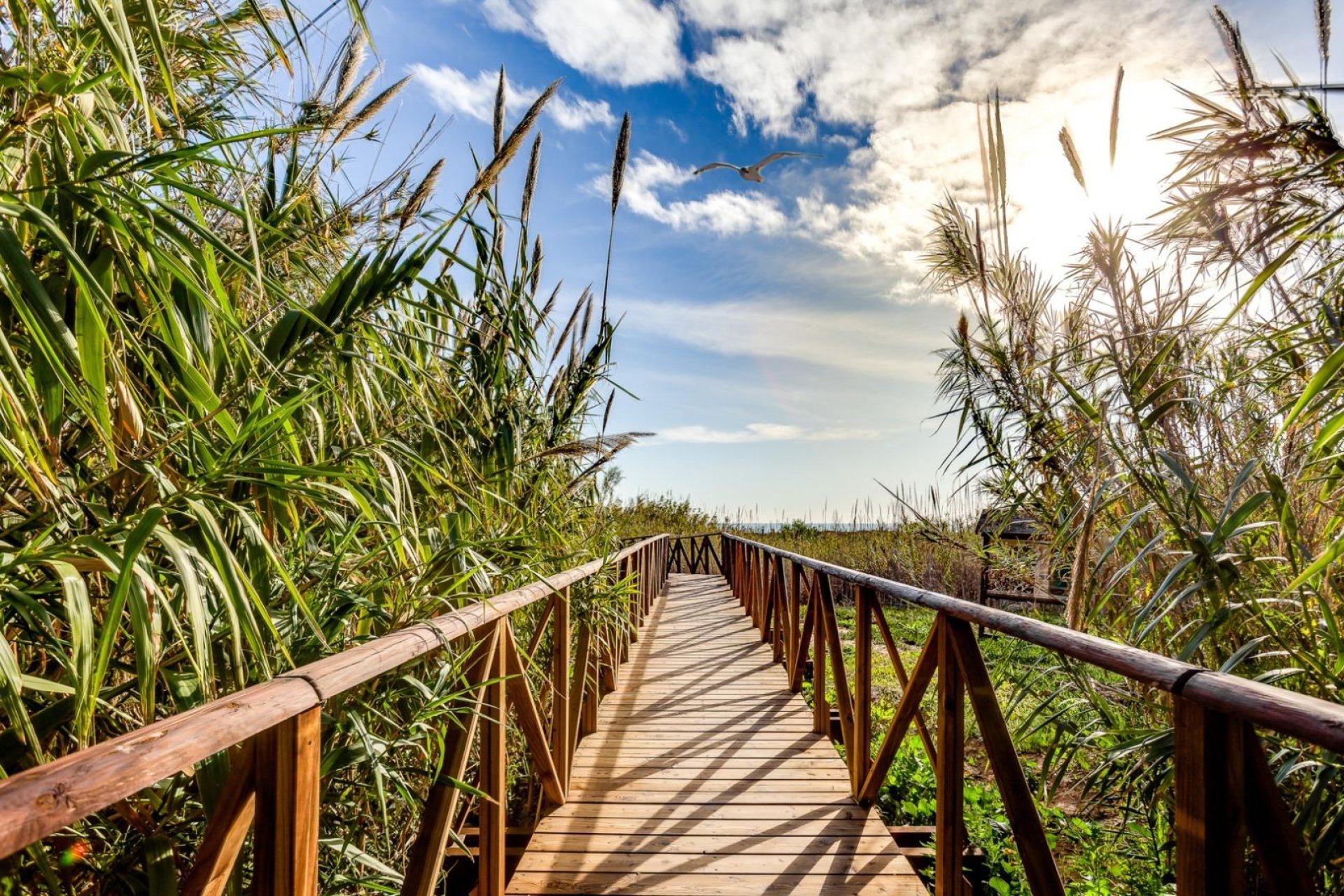 Revente - Apartment -
Torrevieja - La Mata