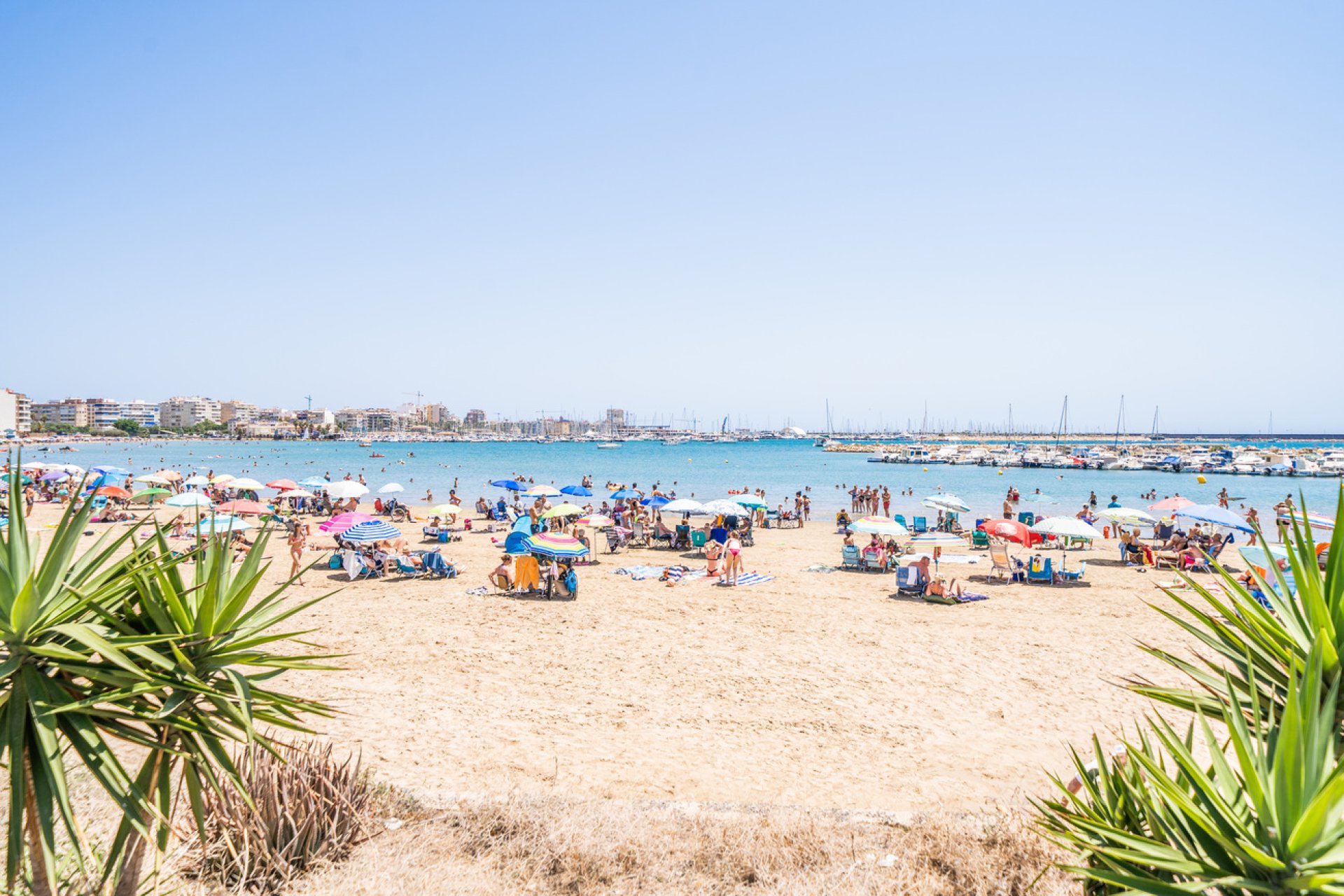 Revente - Apartment -
Torrevieja - La Veleta