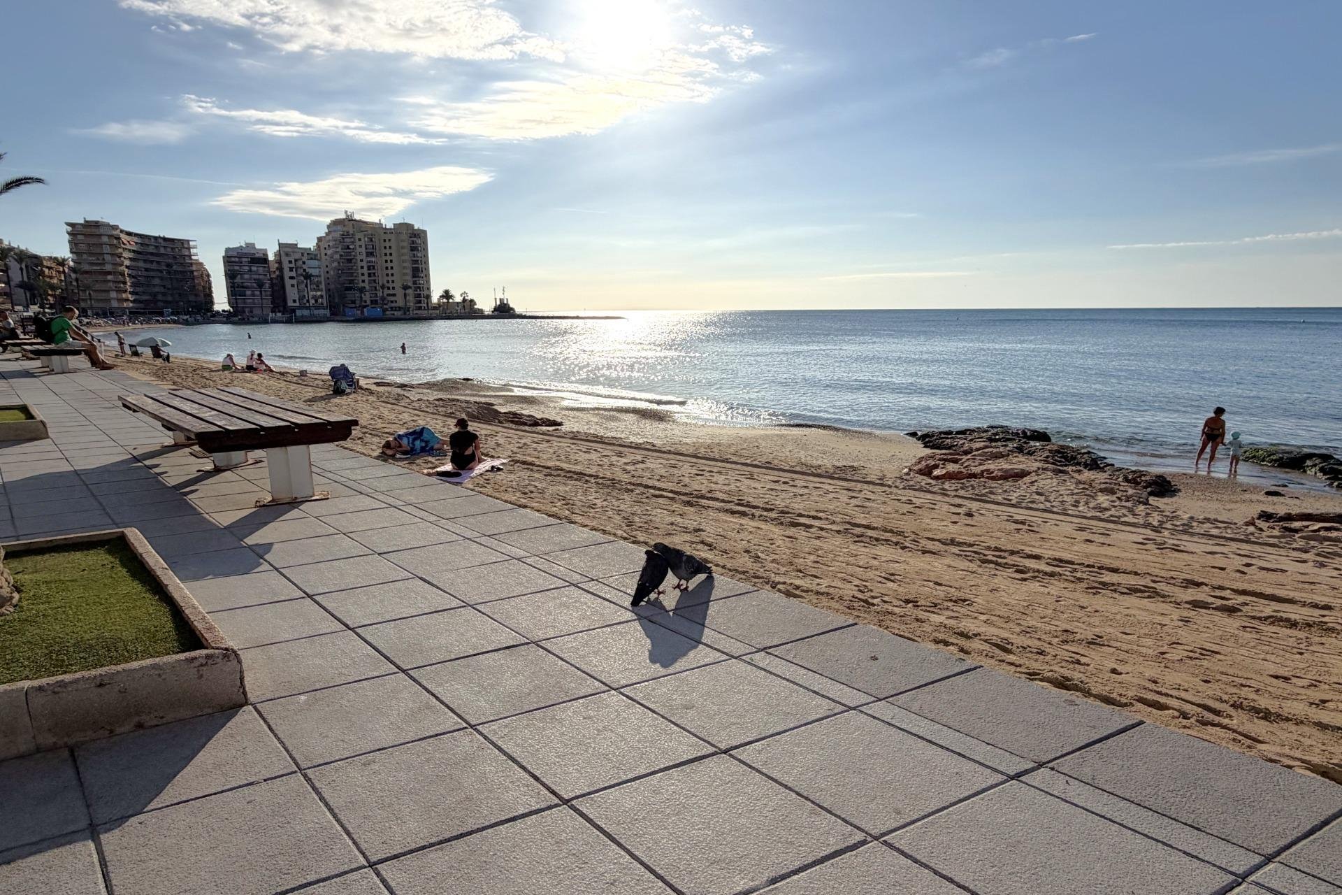 Revente - Apartment -
Torrevieja - Las Piscinas Naturales