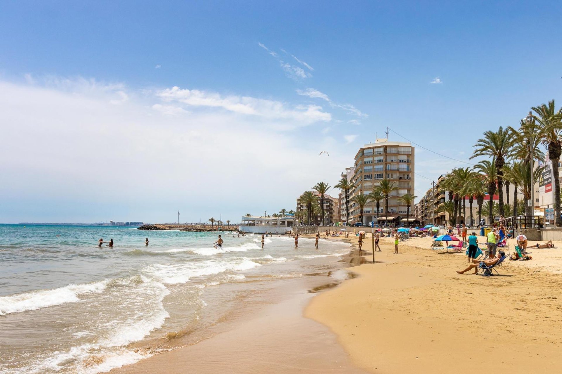 Revente - Apartment -
Torrevieja - Nueva Torrevieja
