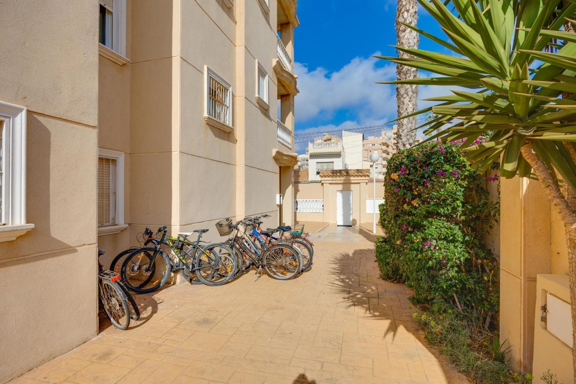 Revente - Apartment -
Torrevieja - Nueva Torrevieja