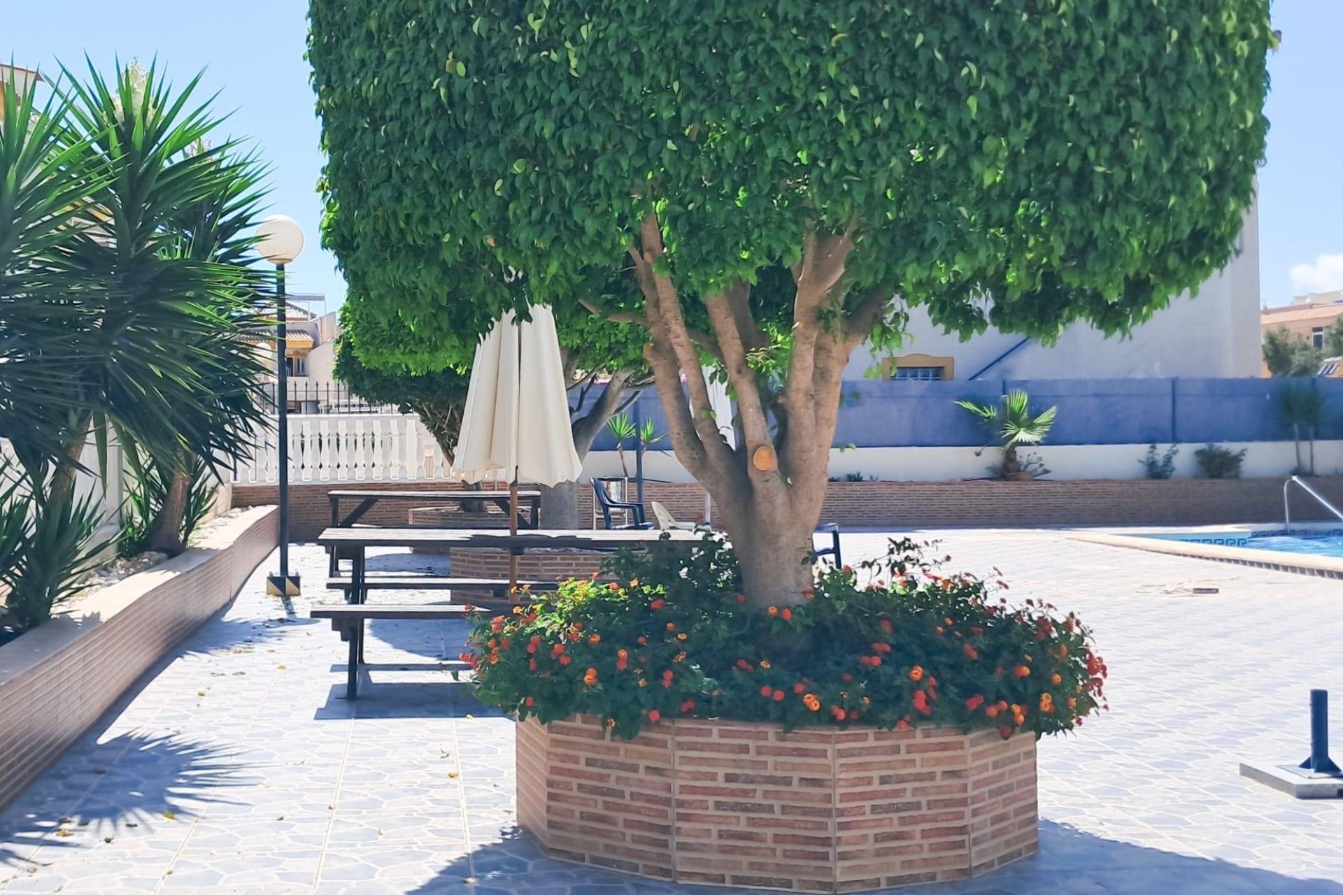 Revente - Apartment -
Torrevieja - Parque Acuático - Sector 25