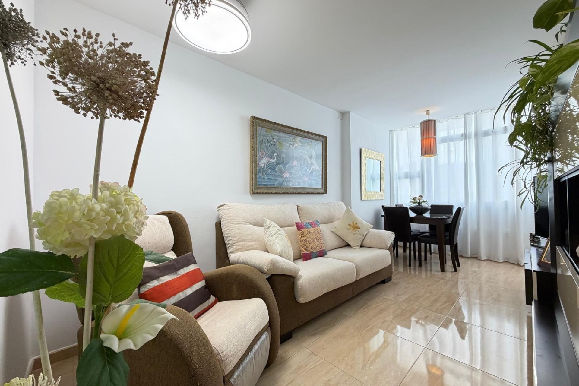 Revente - Apartment -
Torrevieja - Paseo Maritimo