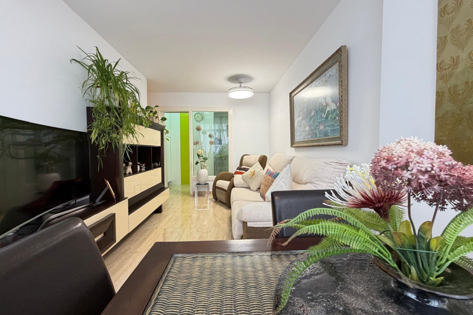 Revente - Apartment -
Torrevieja - Paseo Maritimo