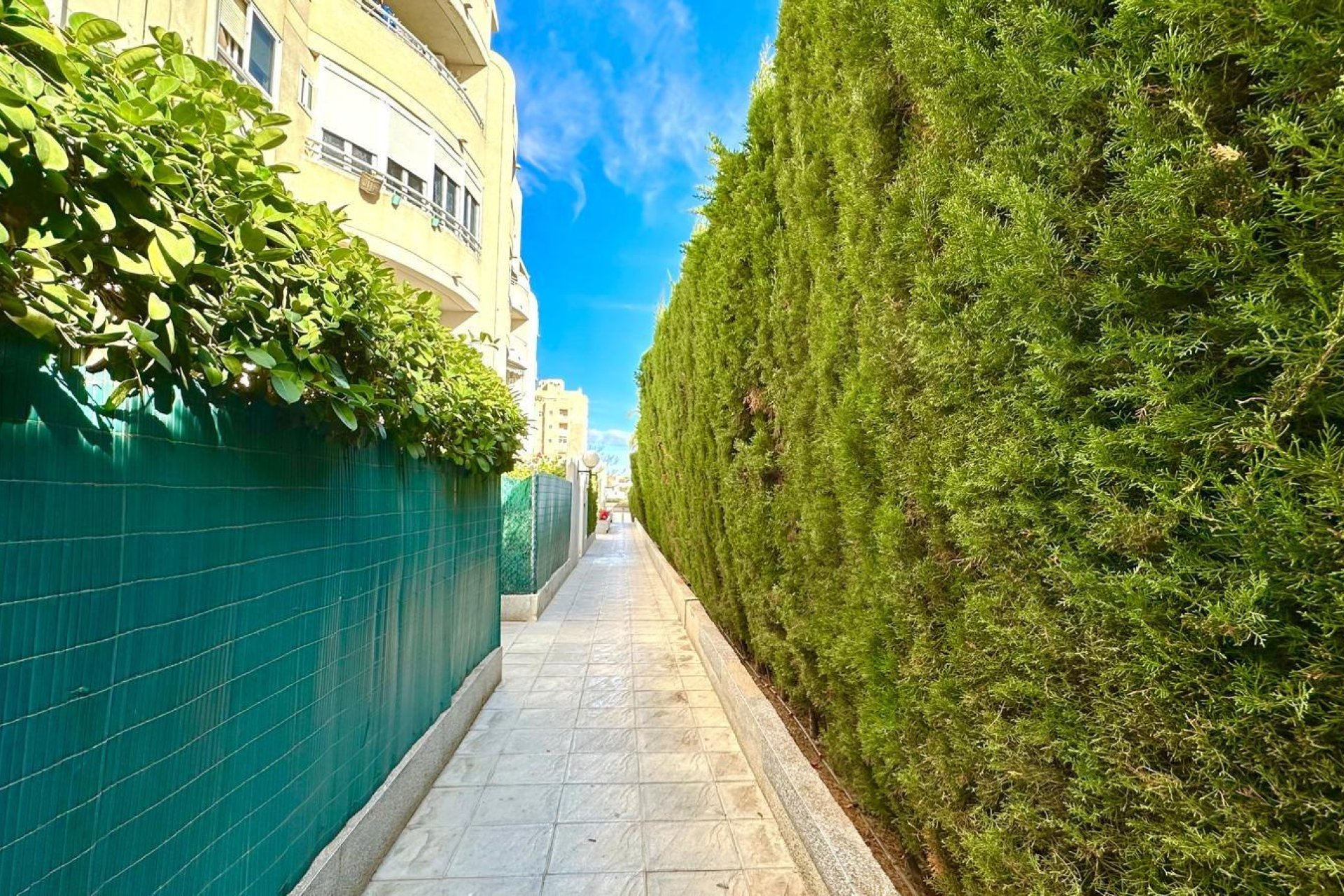 Revente - Apartment -
Torrevieja - Playa del Cura