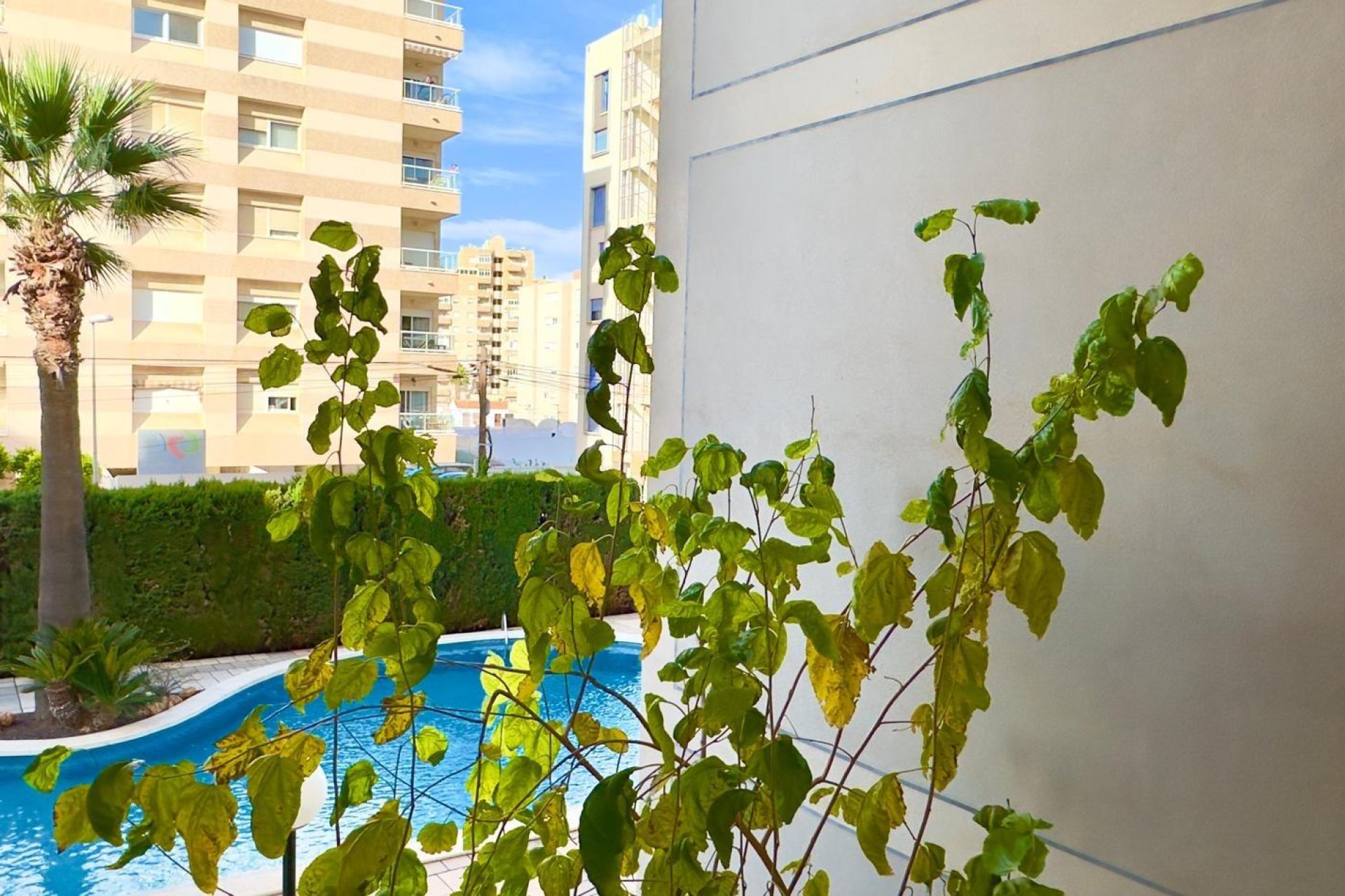 Revente - Apartment -
Torrevieja - Playa del Cura