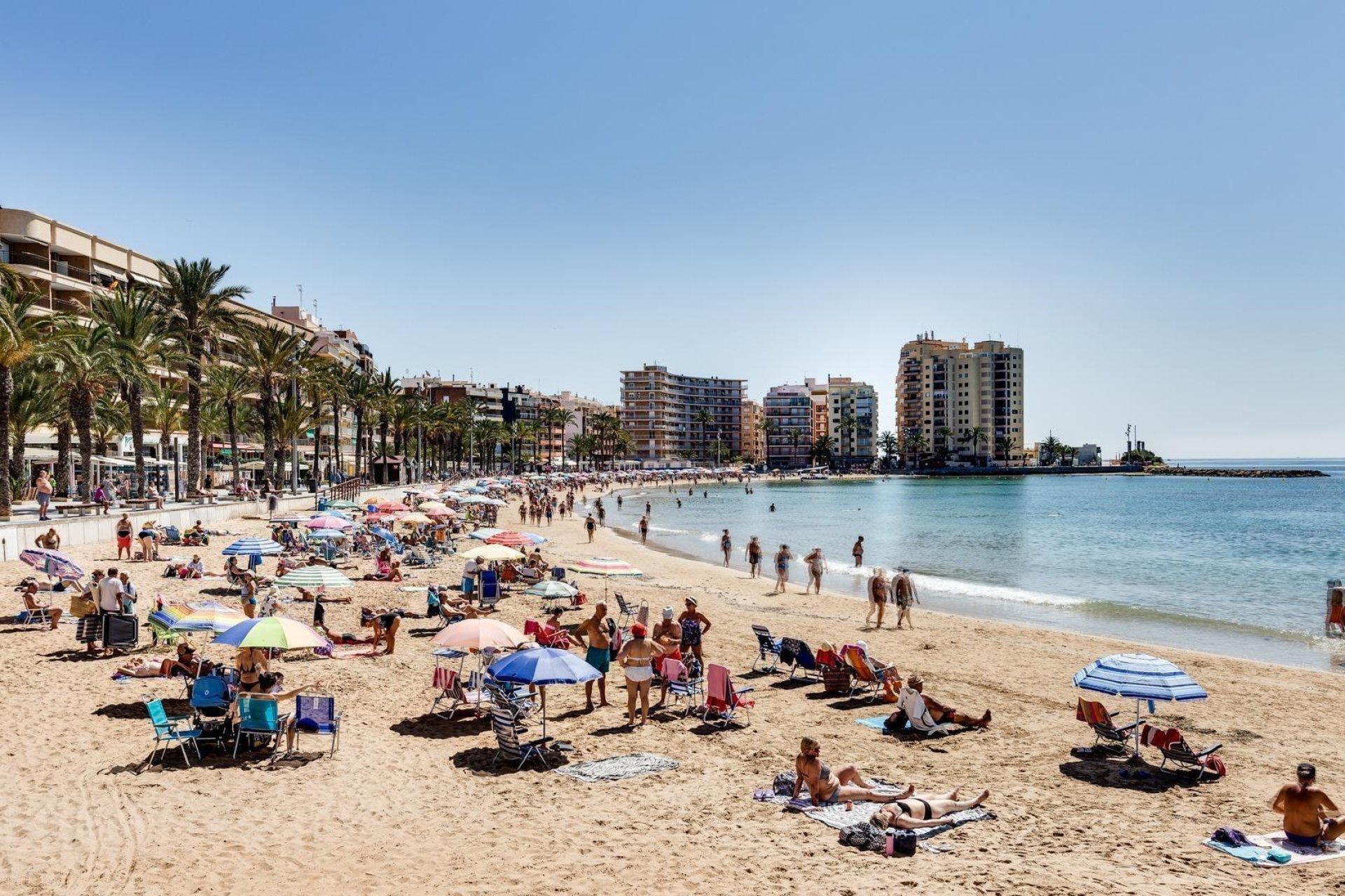 Revente - Apartment -
Torrevieja - Playa del Cura