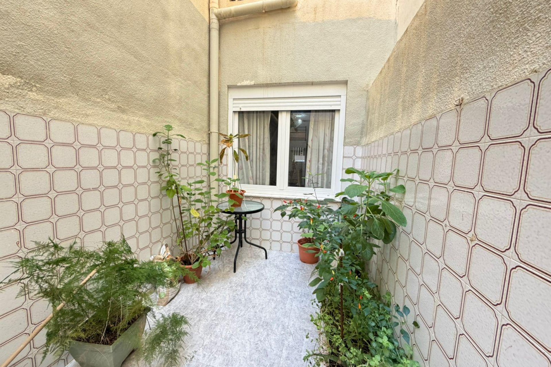 Revente - Apartment -
Torrevieja - Playa del Cura