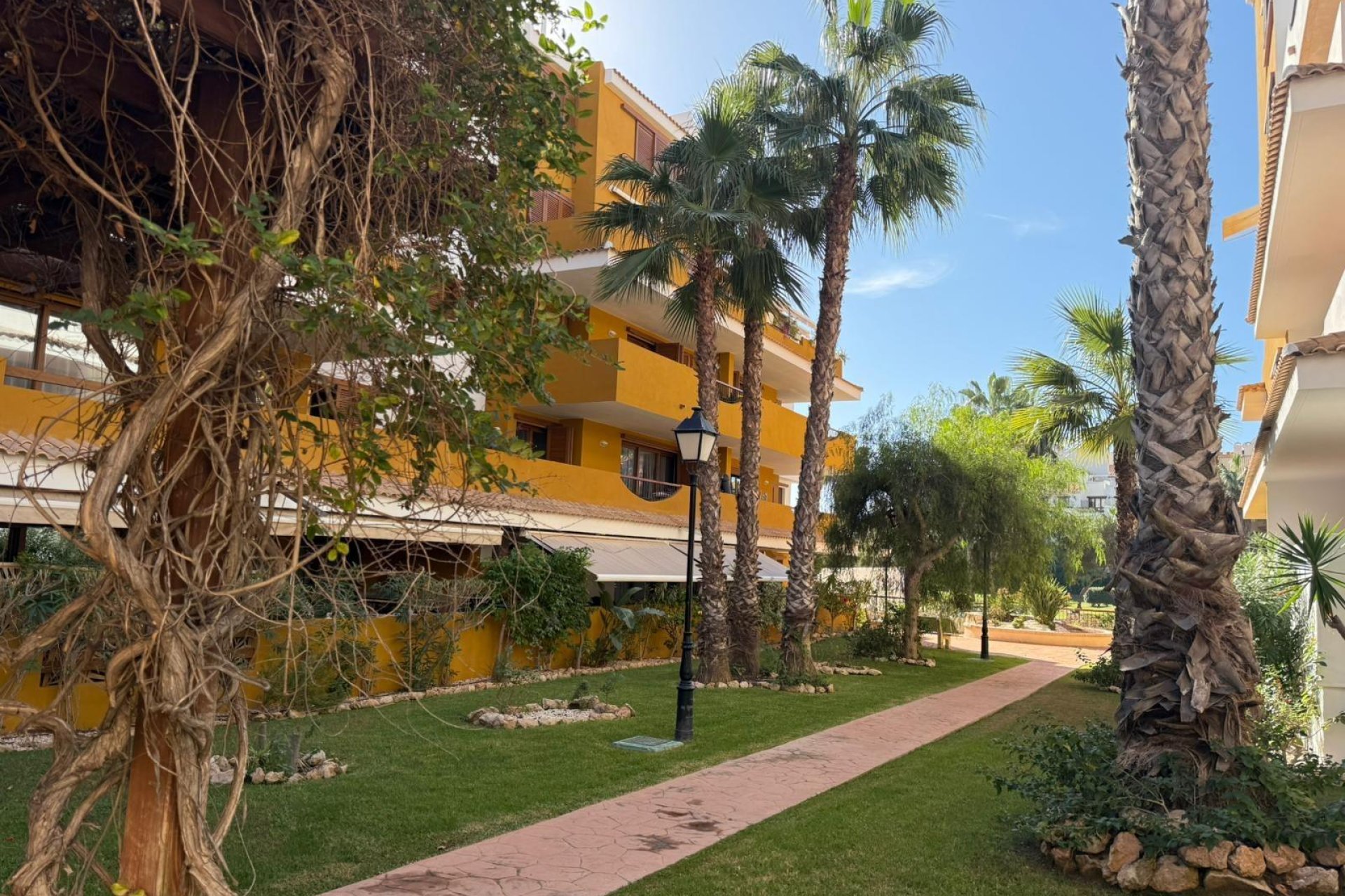 Revente - Apartment -
Torrevieja - Punta Prima