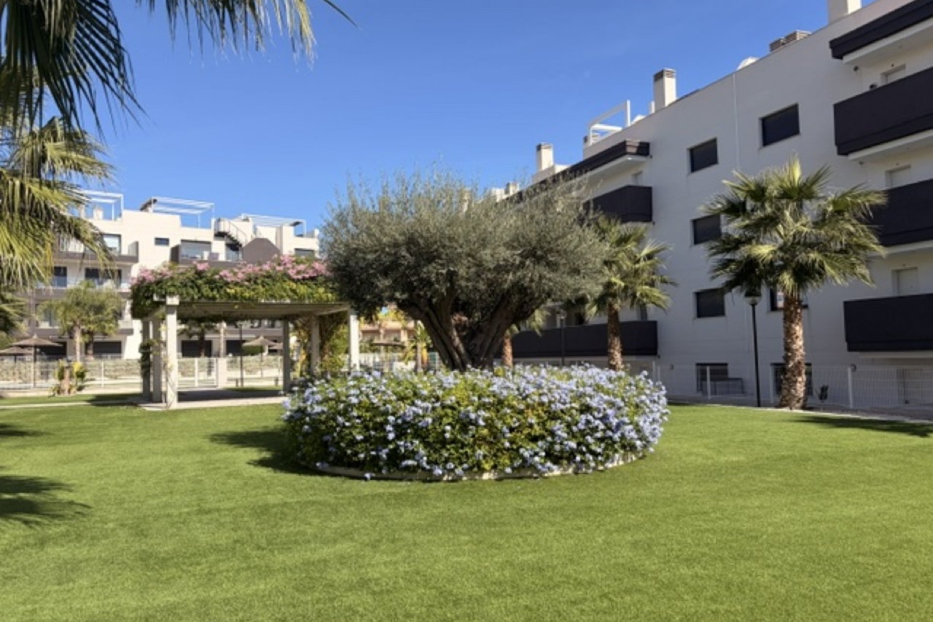 Revente - Apartment -
Villamartin - Costa Blanca