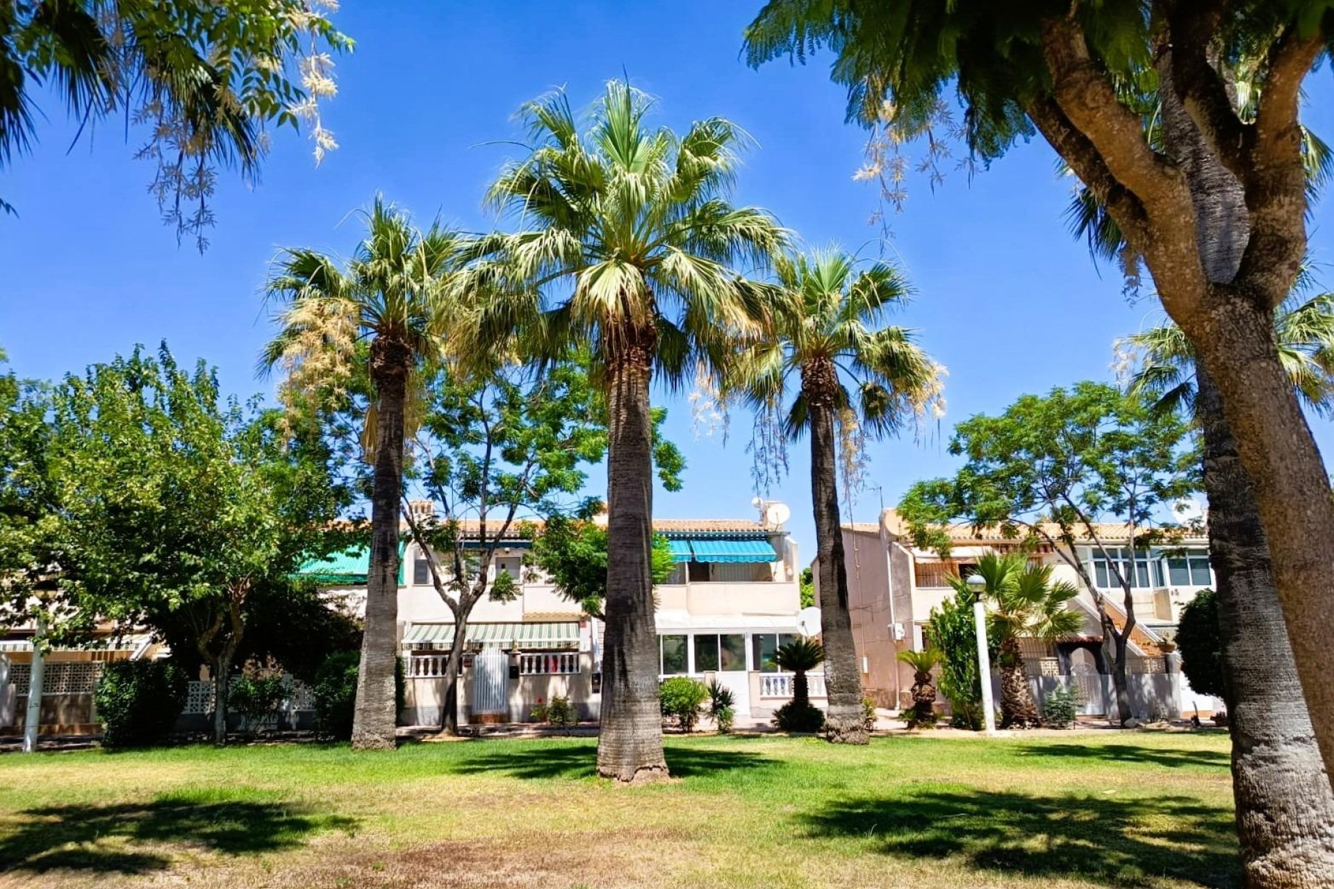 Revente - Bungalow -
Orihuela Costa - Costa Blanca