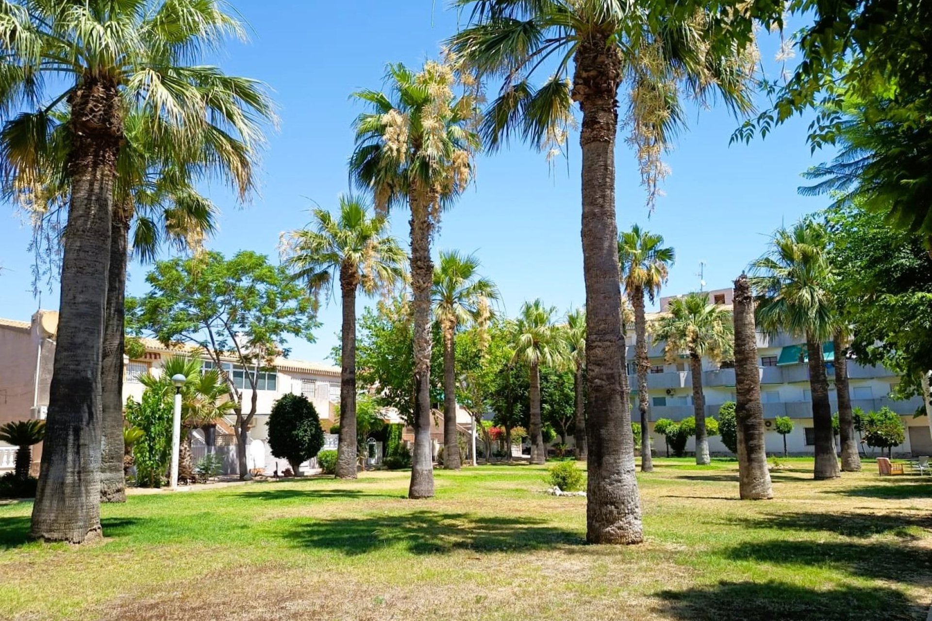 Revente - Bungalow -
Orihuela Costa - Costa Blanca