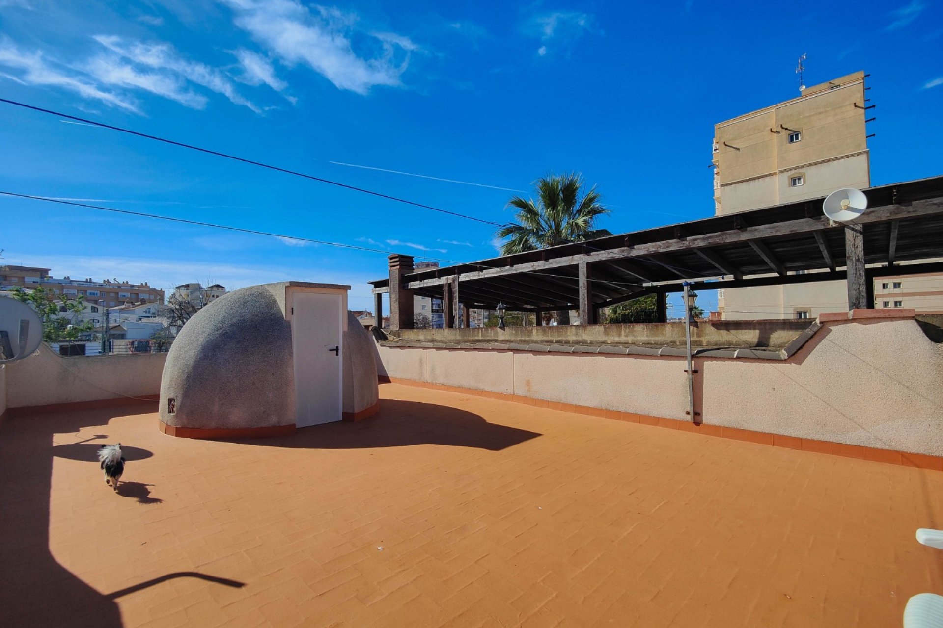 Revente - Bungalow -
Torrevieja - Costa Blanca