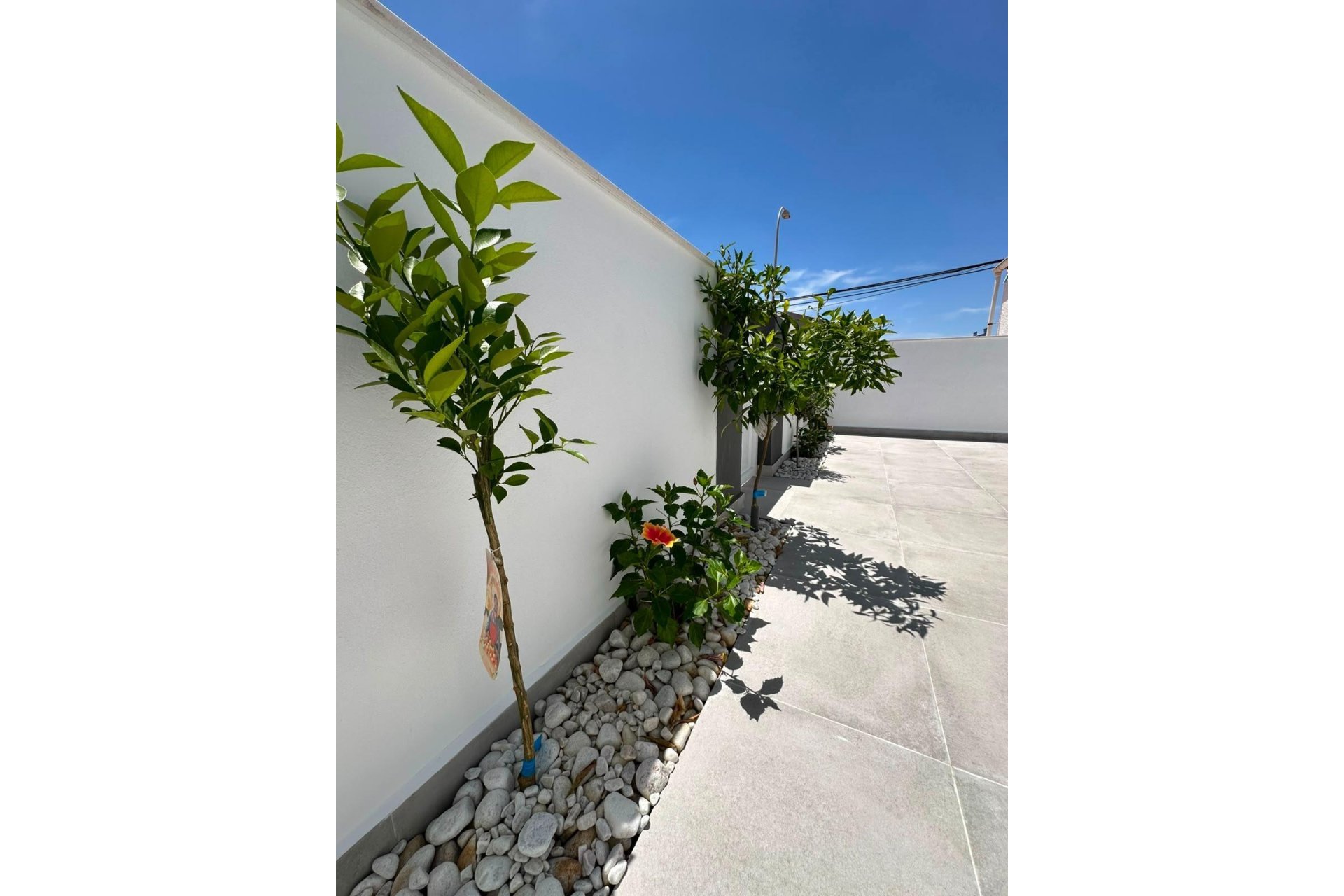Revente - Bungalow -
Torrevieja - La Siesta - El Salado - Torreta