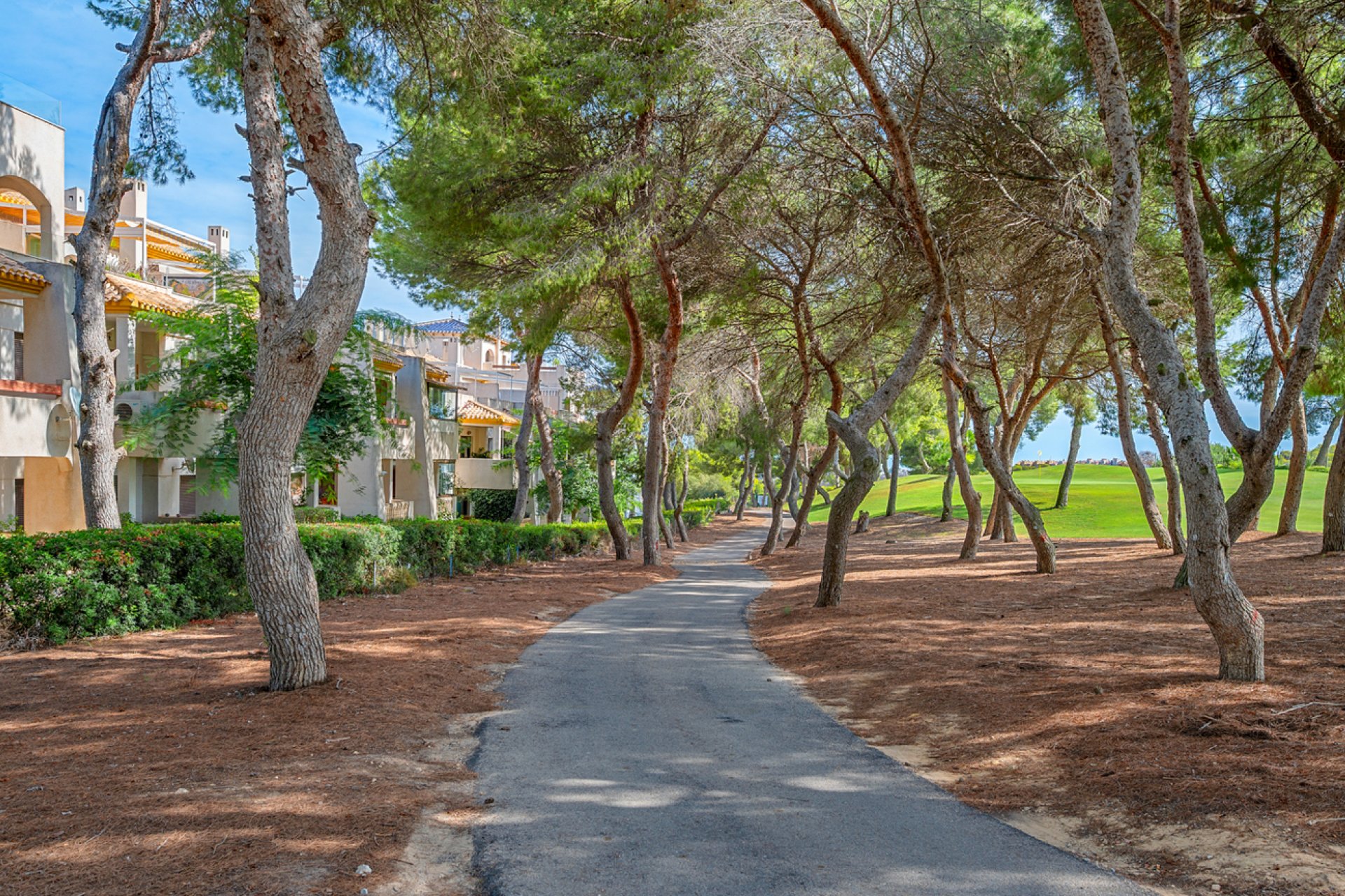 Revente - Duplex Penthouse -
Dehesa de Campoamor - Costa Blanca