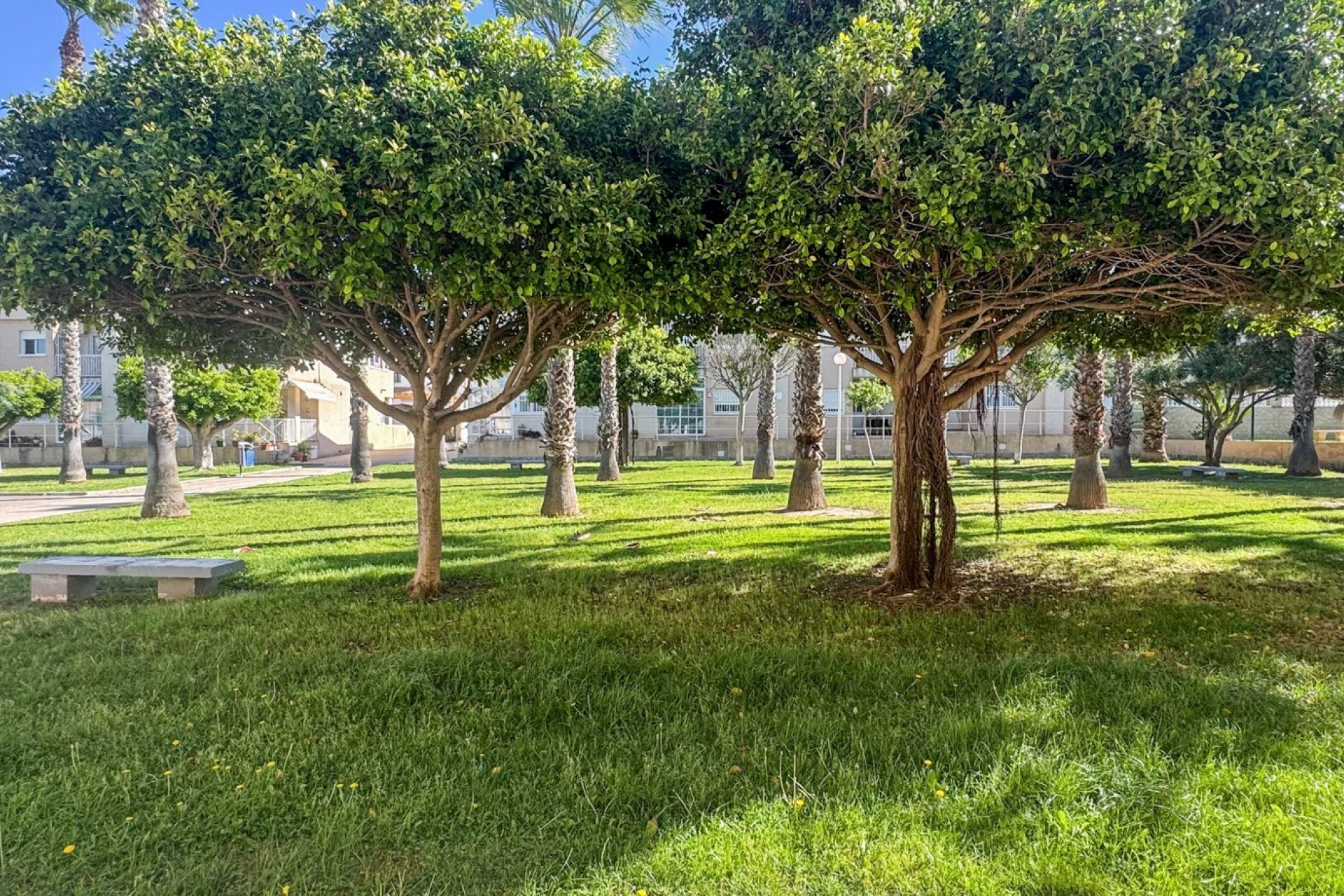 Revente - Duplex -
Torrevieja - Costa Blanca