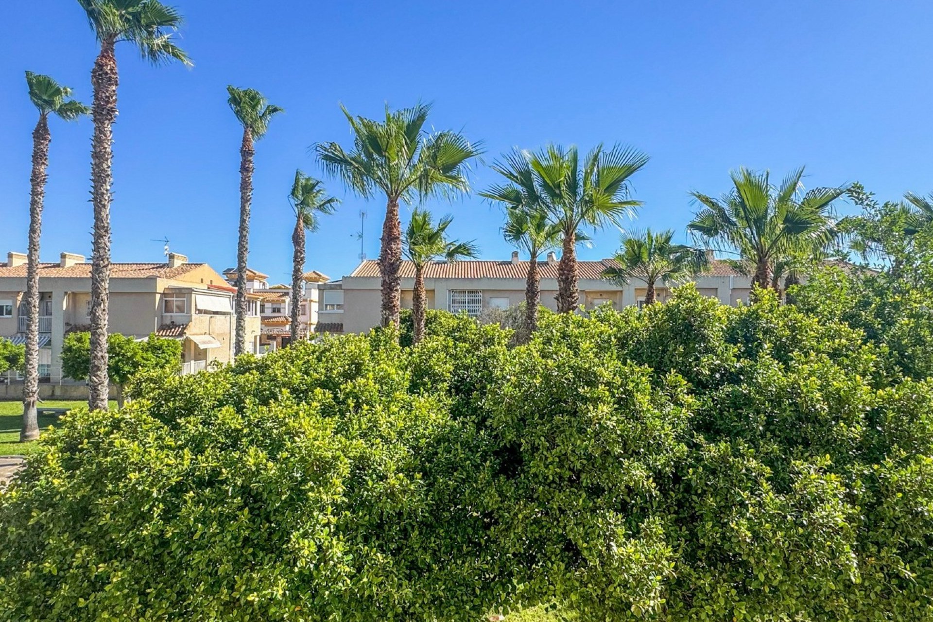 Revente - Duplex -
Torrevieja - Costa Blanca