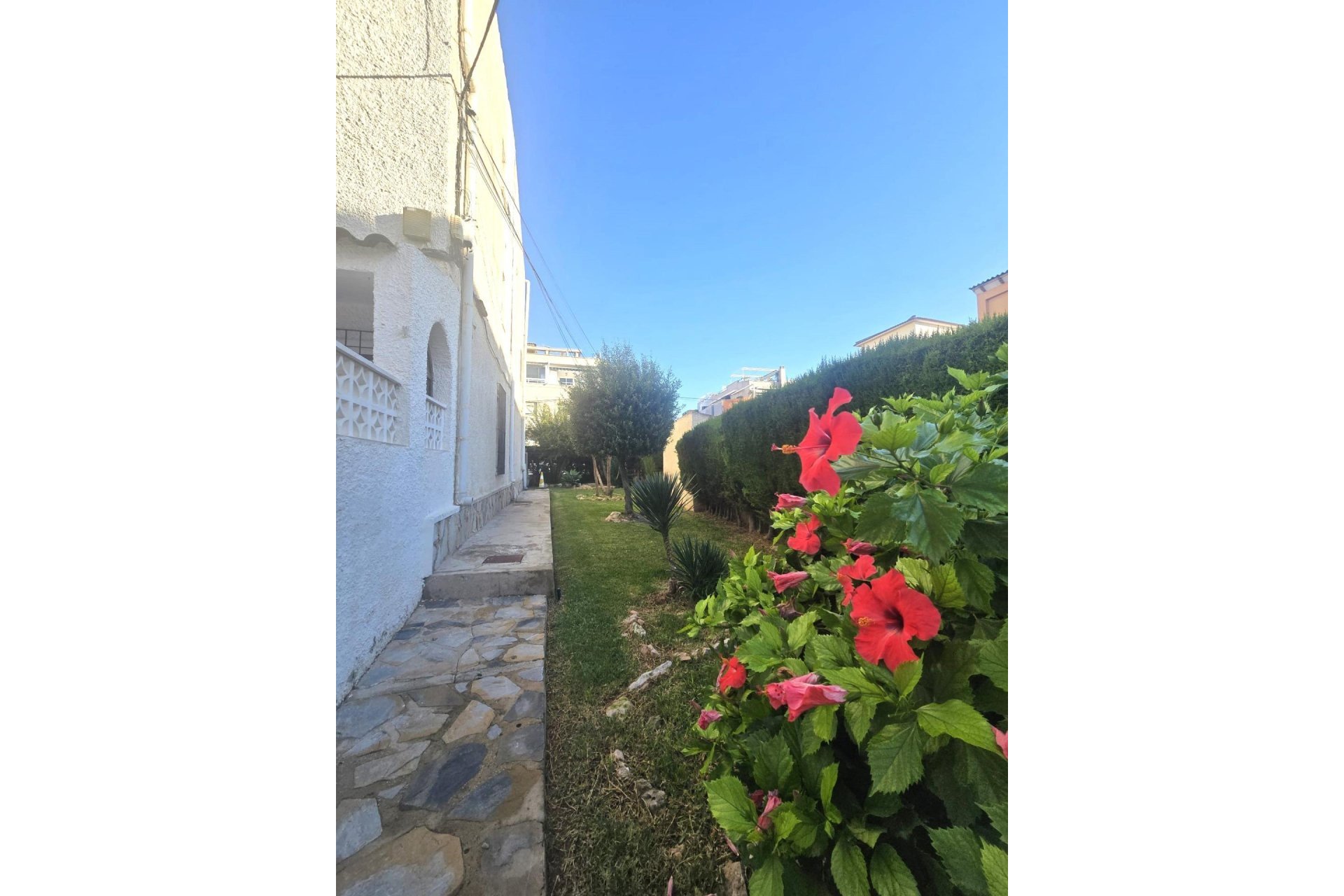 Revente - Duplex -
Torrevieja - Habaneras