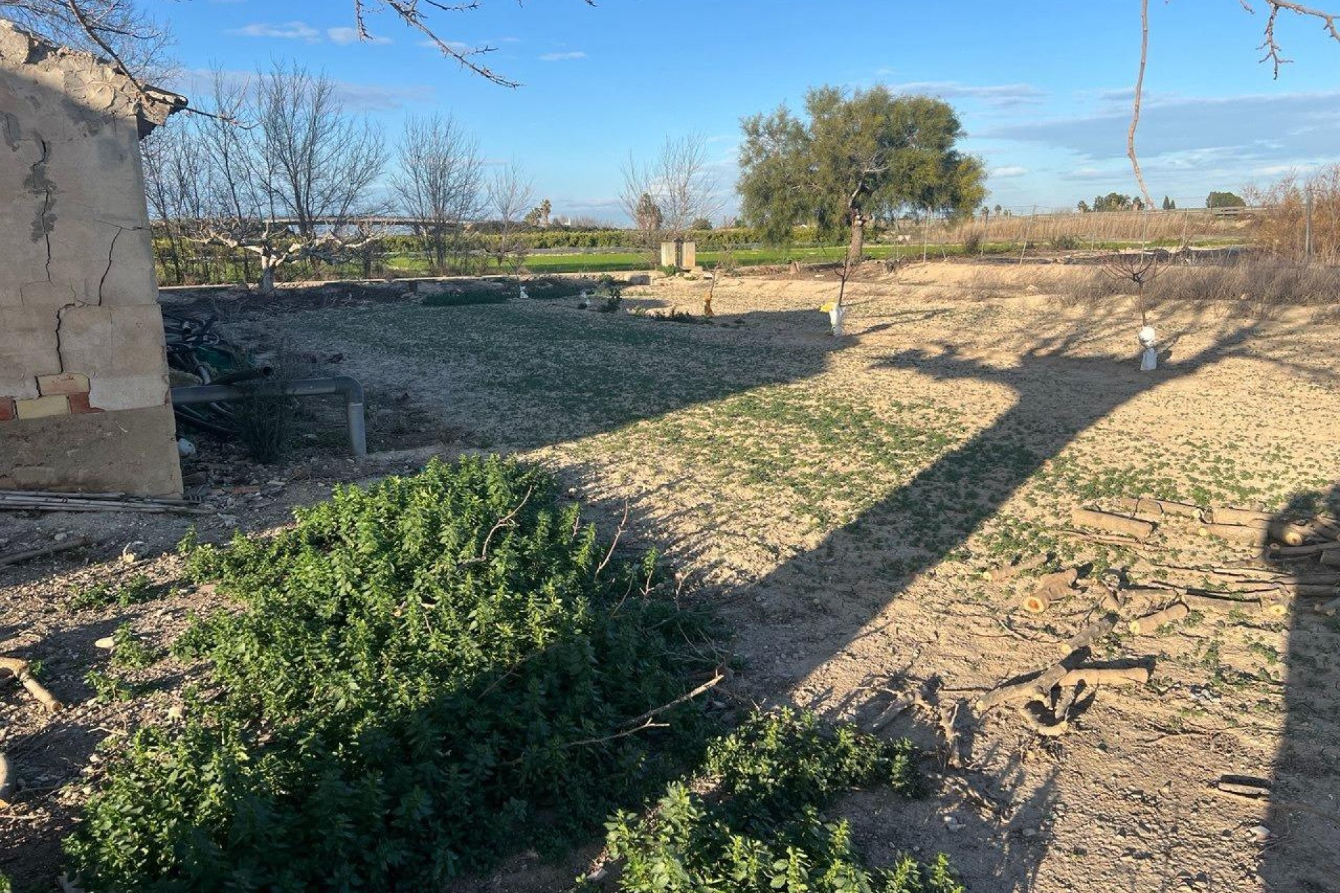 Revente - Finca -
Daya Nueva - Comunidad Valenciana