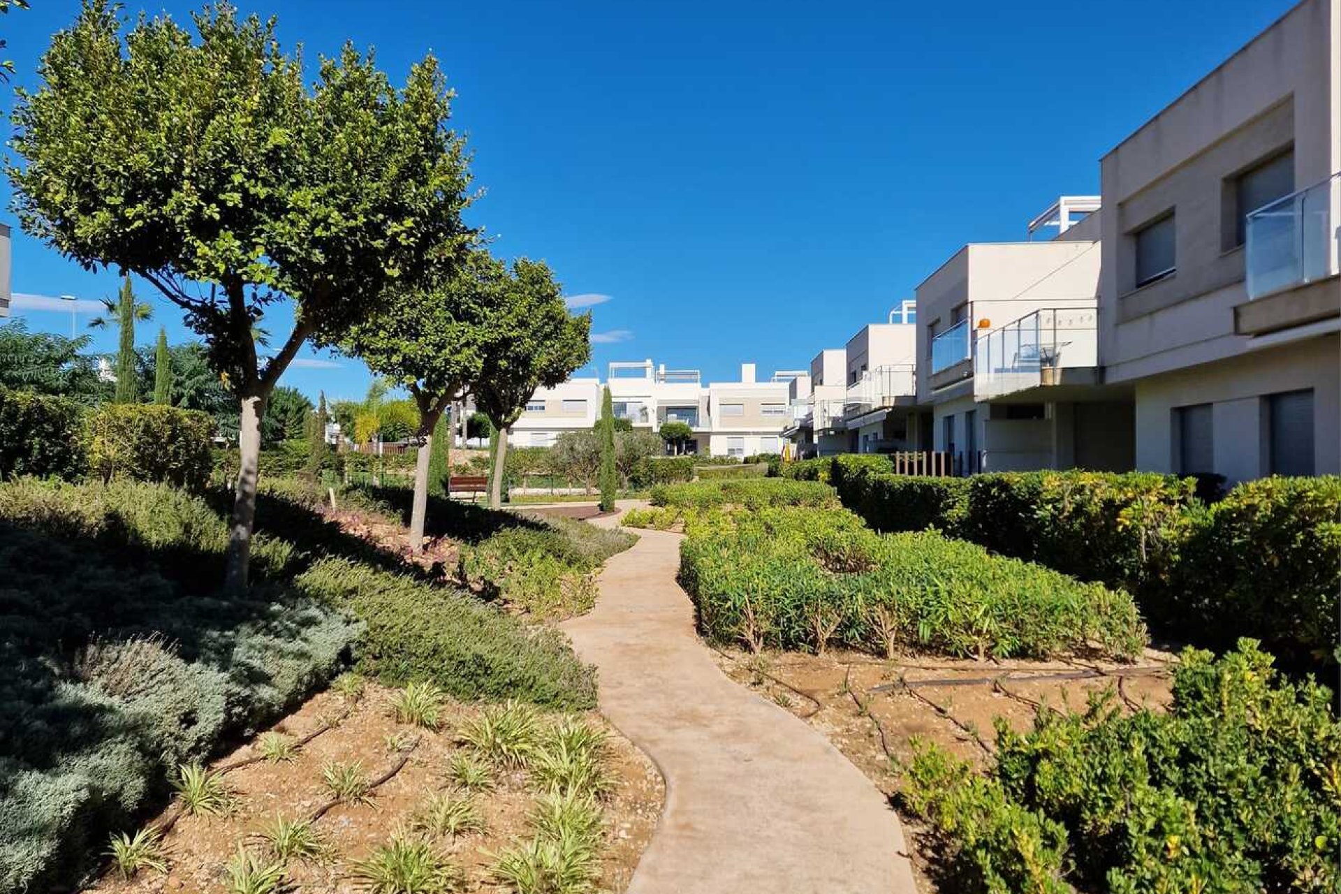 Revente - Penthouse Penthouse -
Vistabella Golf Entre Naranjos