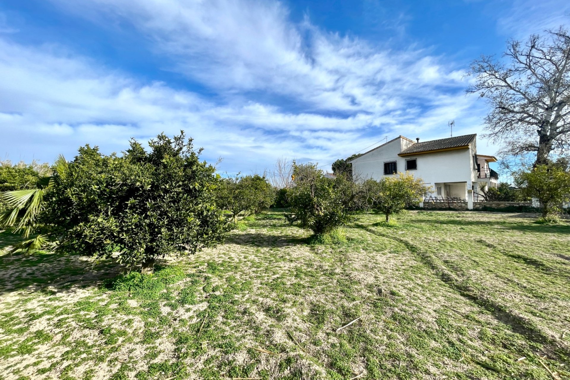 Revente - Villa -
Benejúzar - Inland