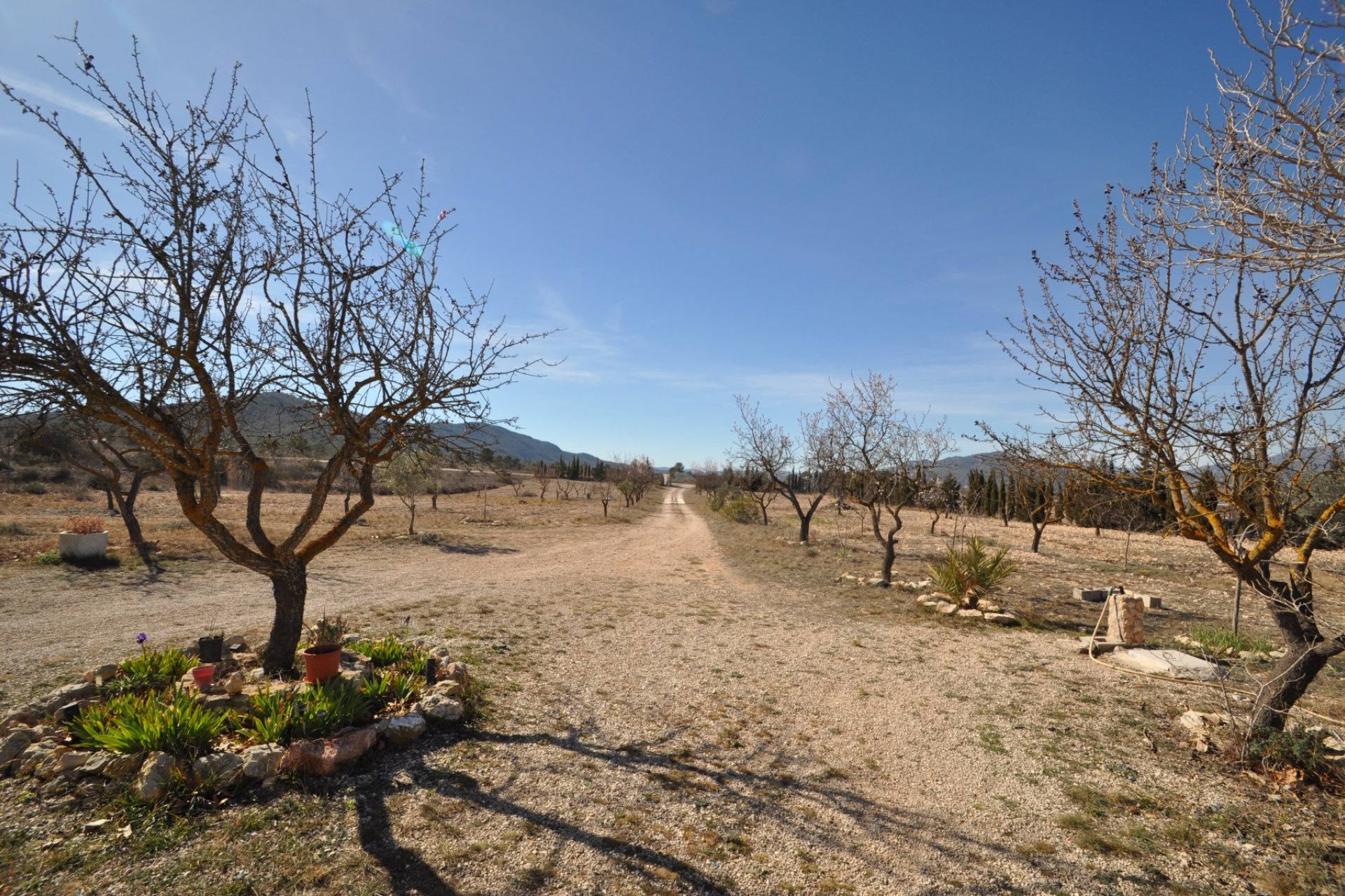 Revente - Villa -
Salinas - Inland