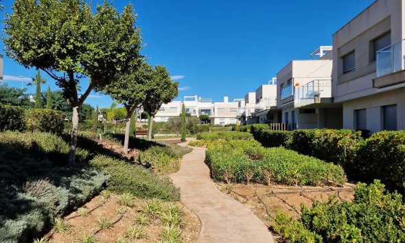 Revente - Penthouse Penthouse -
Vistabella Golf Entre Naranjos