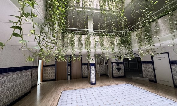 Reventa - Apartment -
Torrevieja - Costa Blanca