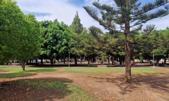 Reventa - Apartment -
Torrevieja - Costa Blanca