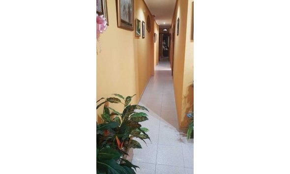 Reventa - Apartment -
La Mata - Costa Blanca