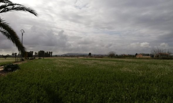 Revente - Finca -
Callosa de Segura - Costa Blanca