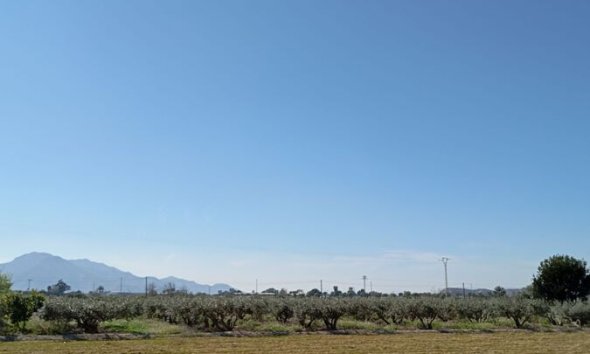 Reventa - Town House -
Catral - Costa Blanca