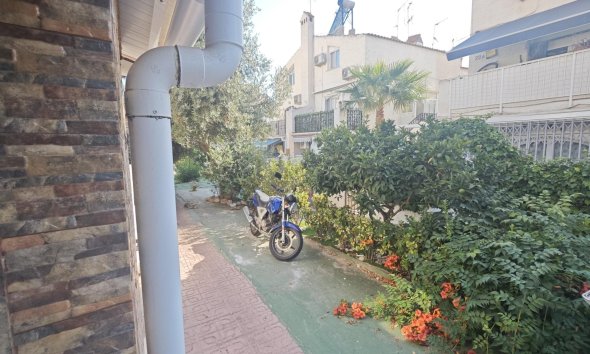 Reventa - Bungalow -
Torrevieja - Playa del Cura