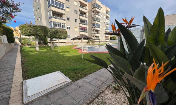 Reventa - Apartment -
Torrevieja - Aguas Nuevas