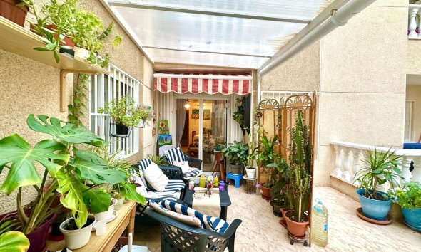 Revente - Apartment -
Torrevieja - Centro