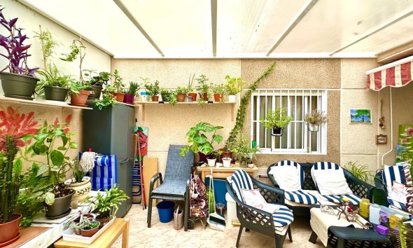 Revente - Apartment -
Torrevieja - Centro