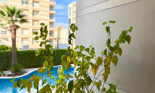 Reventa - Apartment -
Torrevieja - Playa del Cura