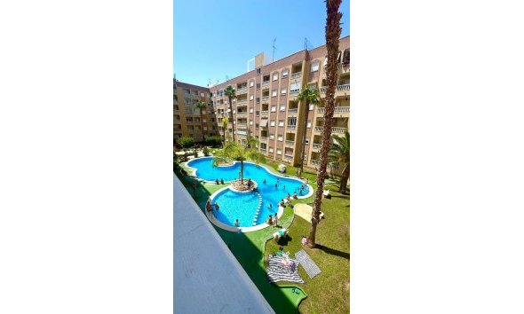 Revente - Apartment -
Torrevieja - Centro
