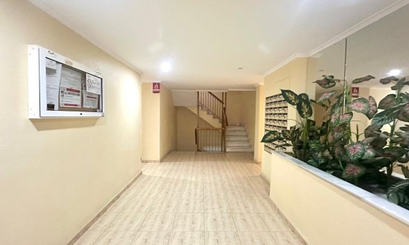 Reventa - Apartment -
Torrevieja - Acequion