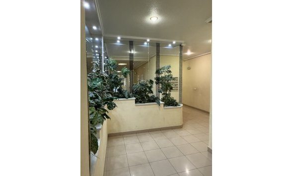 Reventa - Apartment -
Torrevieja - Costa Blanca