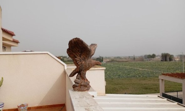 Revente - Apartment -
Daya Vieja - Costa Blanca