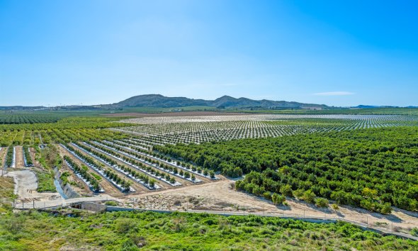 Resale - Apartment -
Algorfa - Inland