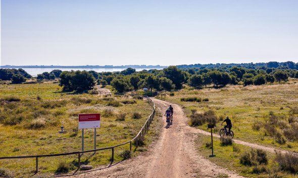 Revente - Apartment -
Torrevieja - Centro - Muelle Pesquero