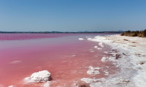 Revente - Apartment -
Torrevieja - Centro - Muelle Pesquero