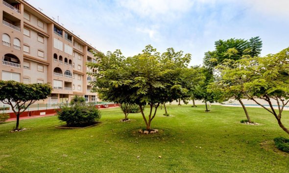 Revente - Attique -
Torrevieja - Centro