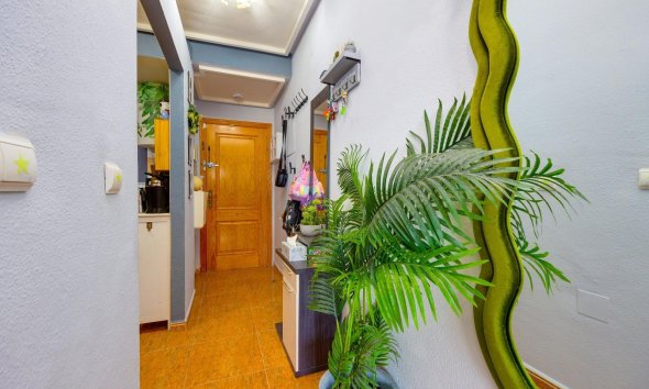 Revente - Apartment -
Torrevieja - Centro