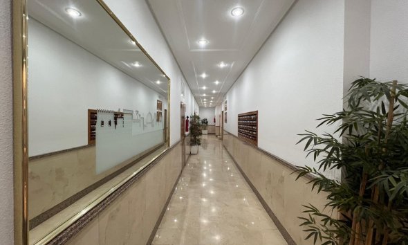 Reventa - Apartment -
Torrevieja - Centro