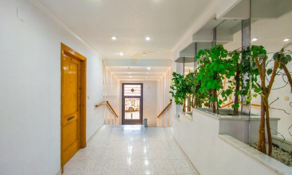 Revente - Apartment -
Torrevieja - Estacion De Autobuses