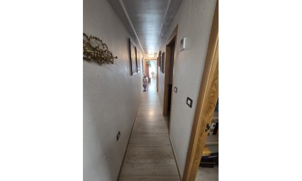 Revente - Apartment -
Torrevieja - Costa Blanca